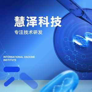 专注技术研发